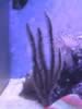 IMG_5949.jpg (49kb)