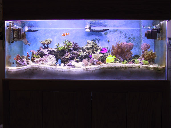 Front of tank