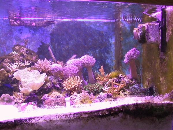 Right side of tank