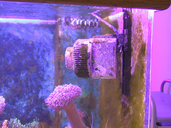 Turbelle Stream closeup with new 3000.26 extension kit