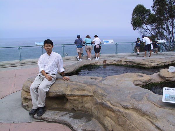 Tidepool exhibit behind the aquarium building