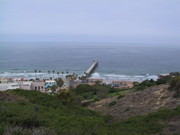 View of the pier from the back of the aquarium