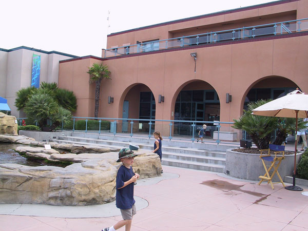 View of the back of the aquarium