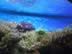 IMG_8567.jpg (104kb)
