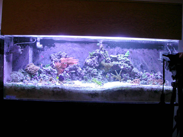 Full tank shot